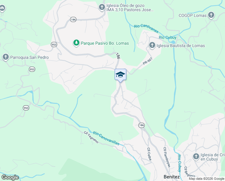 map of restaurants, bars, coffee shops, grocery stores, and more near Puerto Rico 186 in Juncos