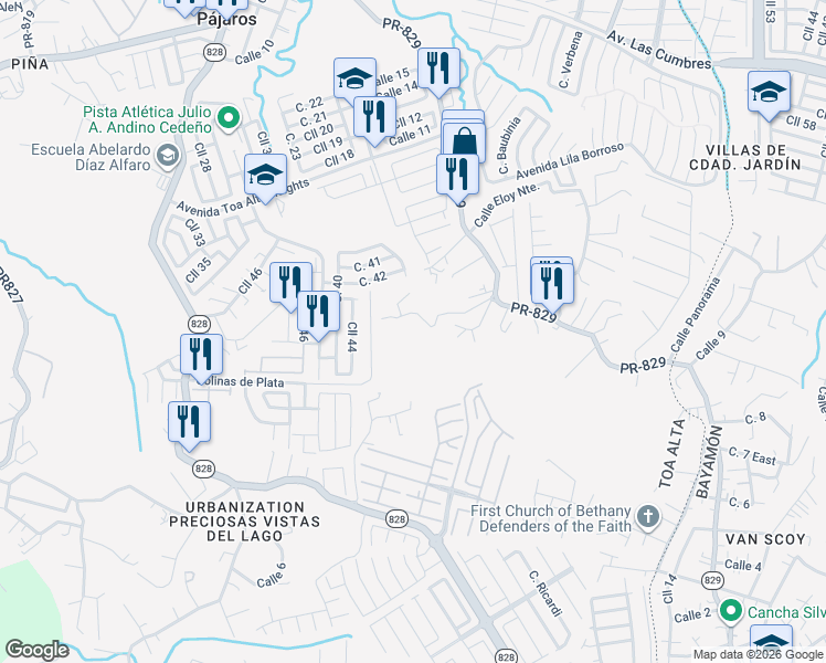 map of restaurants, bars, coffee shops, grocery stores, and more near in Pájaros