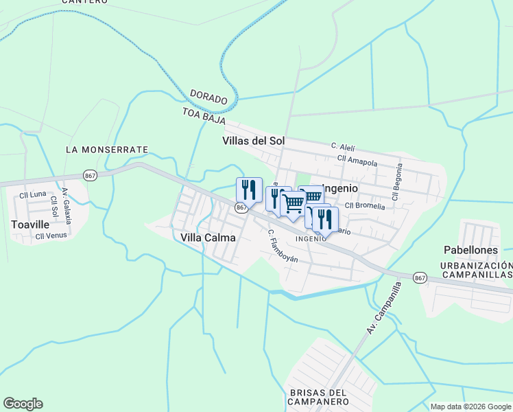 map of restaurants, bars, coffee shops, grocery stores, and more near Puerto Rico 867 in Toa Baja