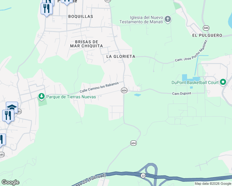 map of restaurants, bars, coffee shops, grocery stores, and more near Puerto Rico 604 in Manatí