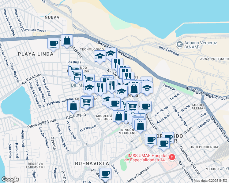 map of restaurants, bars, coffee shops, grocery stores, and more near in Veracruz