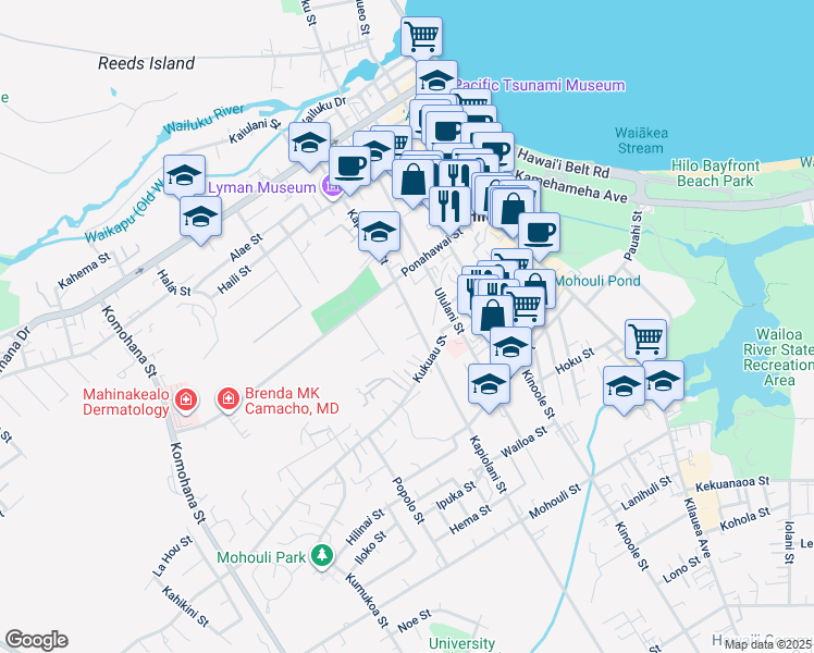 map of restaurants, bars, coffee shops, grocery stores, and more near 256 Kapiolani Street in Hilo