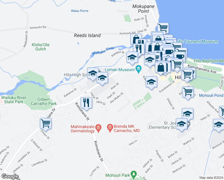 map of restaurants, bars, coffee shops, grocery stores, and more near 91 Alae Street in Hilo