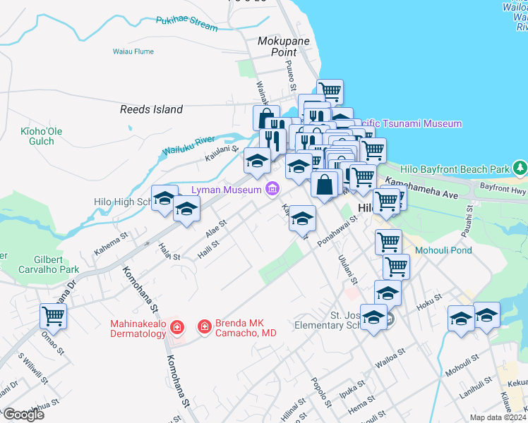 map of restaurants, bars, coffee shops, grocery stores, and more near 284 Haili Street in Hilo
