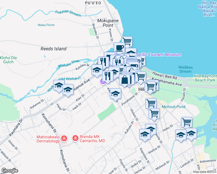 map of restaurants, bars, coffee shops, grocery stores, and more near 227 Haili Street in Hilo