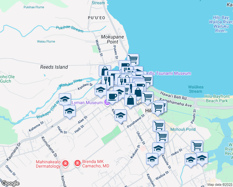 map of restaurants, bars, coffee shops, grocery stores, and more near 100 Ululani Street in Hilo