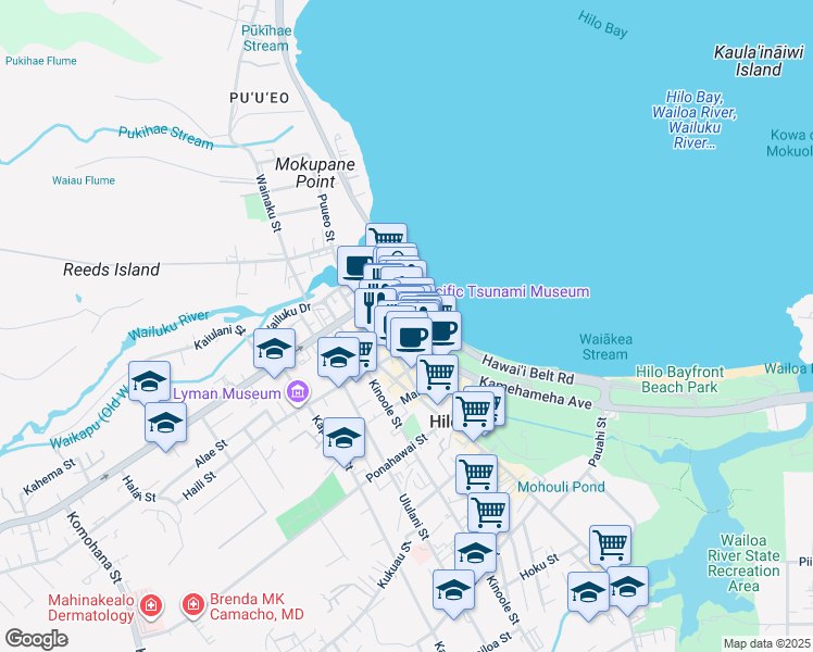 map of restaurants, bars, coffee shops, grocery stores, and more near in Hilo