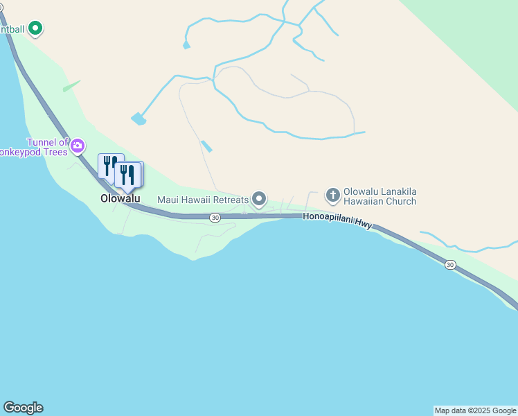 map of restaurants, bars, coffee shops, grocery stores, and more near 832 Olowalu Village Road in Lahaina