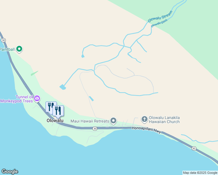 map of restaurants, bars, coffee shops, grocery stores, and more near 631 Luawai Street in Lahaina