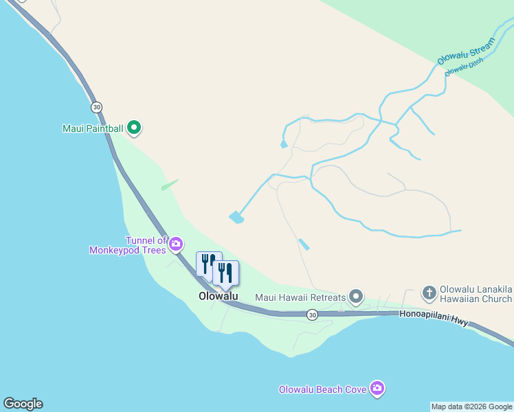 map of restaurants, bars, coffee shops, grocery stores, and more near Luawai Street in Lahaina