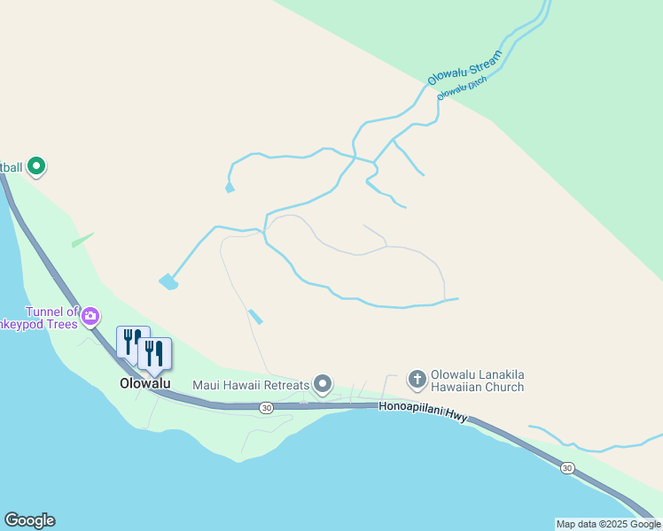 map of restaurants, bars, coffee shops, grocery stores, and more near 479 Luawai Street in Lahaina