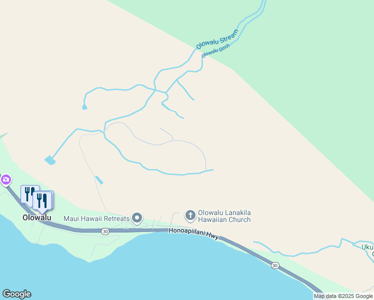 map of restaurants, bars, coffee shops, grocery stores, and more near 295 Luawai Street in Lahaina