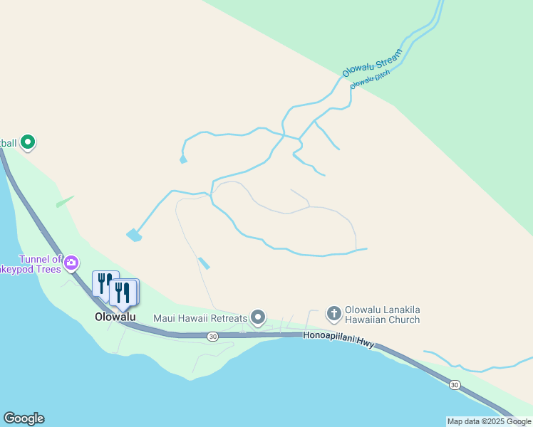 map of restaurants, bars, coffee shops, grocery stores, and more near 479 Luawai Street in Lahaina