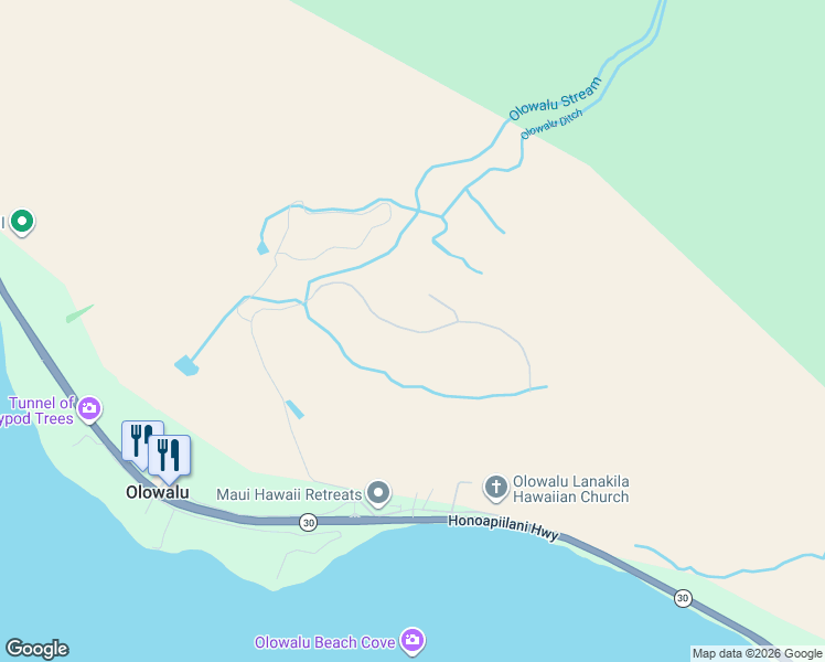 map of restaurants, bars, coffee shops, grocery stores, and more near Luawai Street in Lahaina