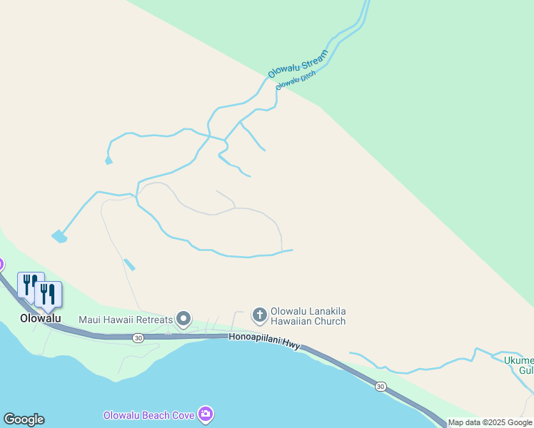 map of restaurants, bars, coffee shops, grocery stores, and more near 295 Luawai Street in Lahaina