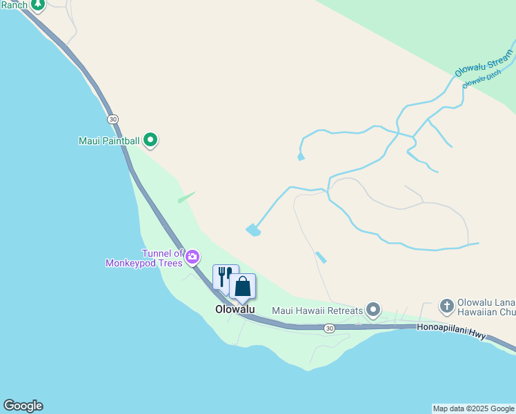 map of restaurants, bars, coffee shops, grocery stores, and more near 11-630 Hawaii 30 in Lahaina