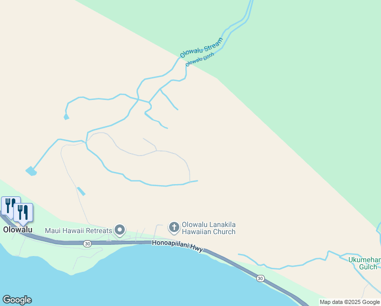 map of restaurants, bars, coffee shops, grocery stores, and more near 282 Luawai Street in Lahaina