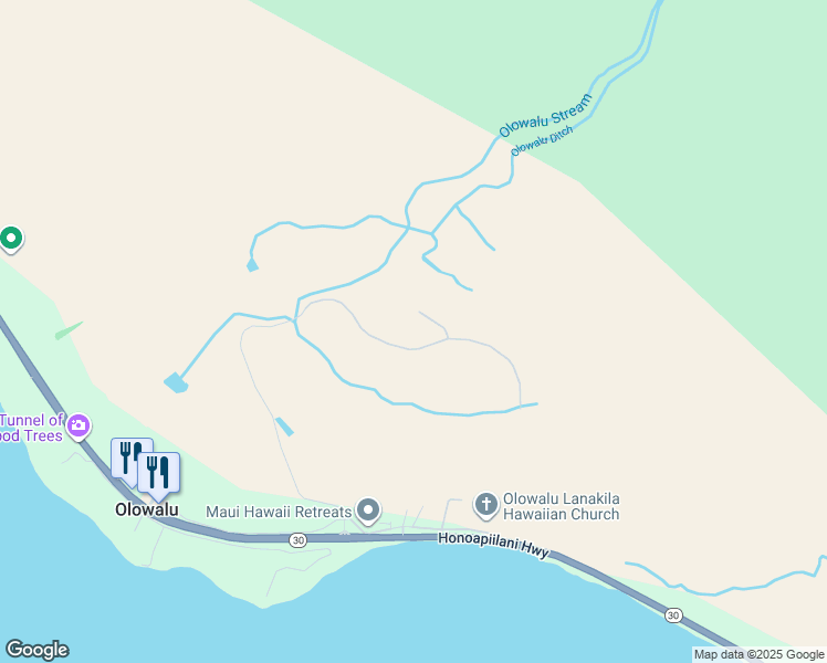 map of restaurants, bars, coffee shops, grocery stores, and more near 410 Luawai Street in Lahaina
