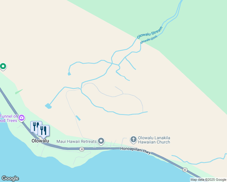 map of restaurants, bars, coffee shops, grocery stores, and more near 410 Luawai Street in Lahaina