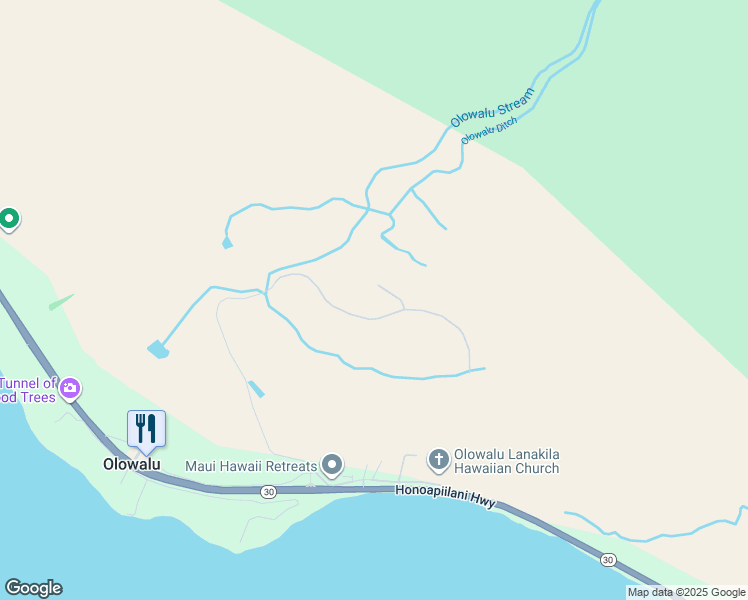 map of restaurants, bars, coffee shops, grocery stores, and more near 410 Luawai Street in Lahaina