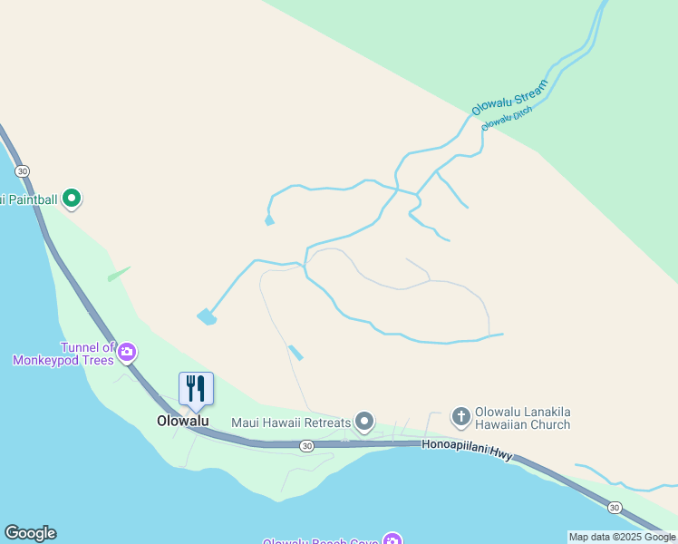 map of restaurants, bars, coffee shops, grocery stores, and more near 533 Luawai Street in Lahaina