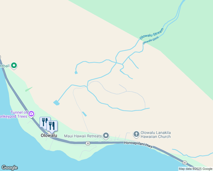 map of restaurants, bars, coffee shops, grocery stores, and more near 530 Luawai Street in Lahaina