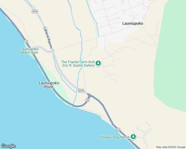 map of restaurants, bars, coffee shops, grocery stores, and more near 206 Kai Hele Ku Street in Lahaina