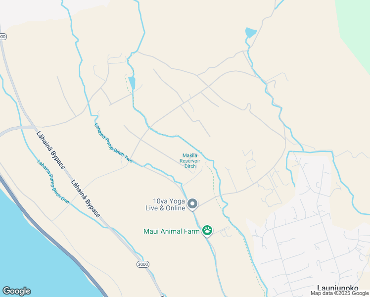 map of restaurants, bars, coffee shops, grocery stores, and more near 88 South Lauhoe Place in Lahaina