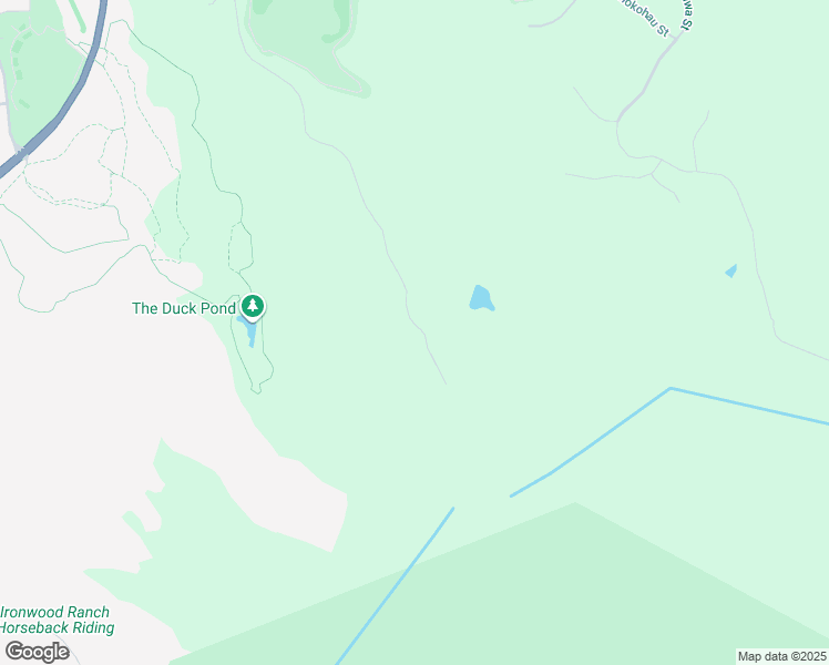 map of restaurants, bars, coffee shops, grocery stores, and more near 830 Mahana Ridge Street in Lahaina