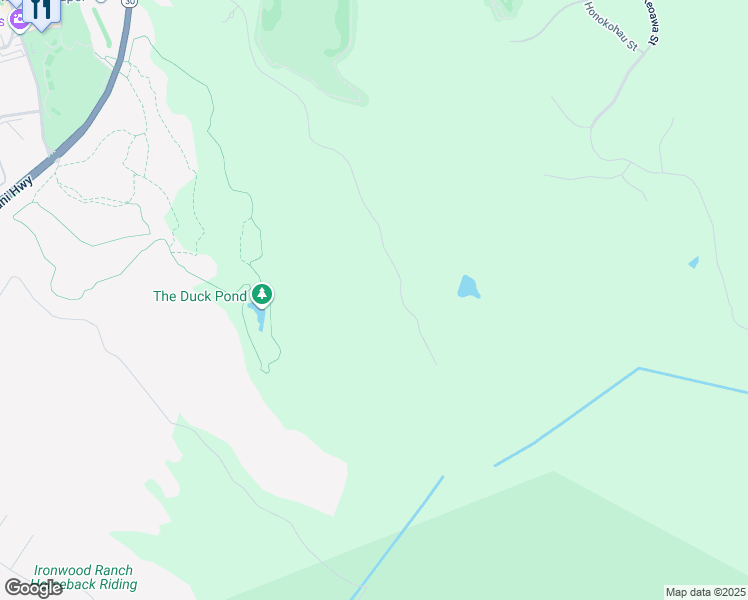 map of restaurants, bars, coffee shops, grocery stores, and more near in Kapalua