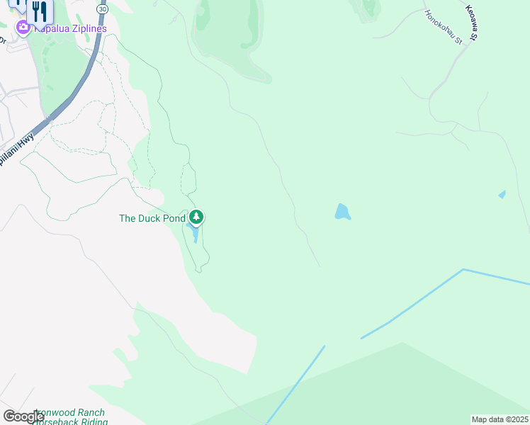 map of restaurants, bars, coffee shops, grocery stores, and more near in Kapalua