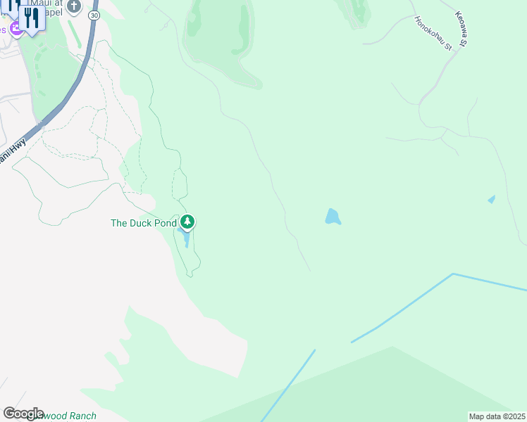 map of restaurants, bars, coffee shops, grocery stores, and more near in Kapalua