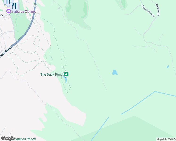 map of restaurants, bars, coffee shops, grocery stores, and more near in Kapalua