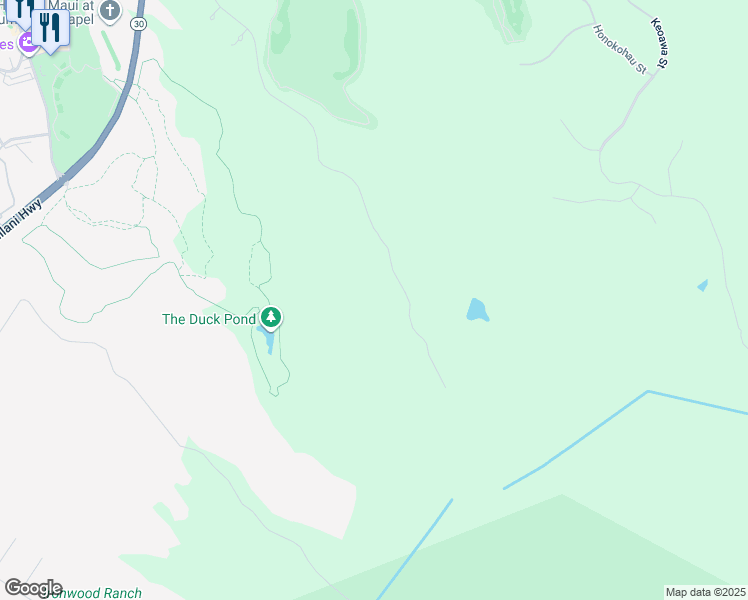 map of restaurants, bars, coffee shops, grocery stores, and more near in Kapalua