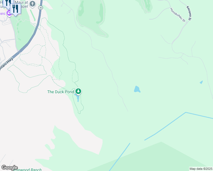 map of restaurants, bars, coffee shops, grocery stores, and more near in Kapalua