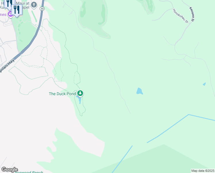 map of restaurants, bars, coffee shops, grocery stores, and more near in Kapalua