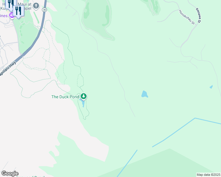 map of restaurants, bars, coffee shops, grocery stores, and more near in Kapalua