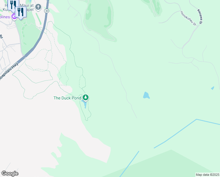 map of restaurants, bars, coffee shops, grocery stores, and more near in Kapalua