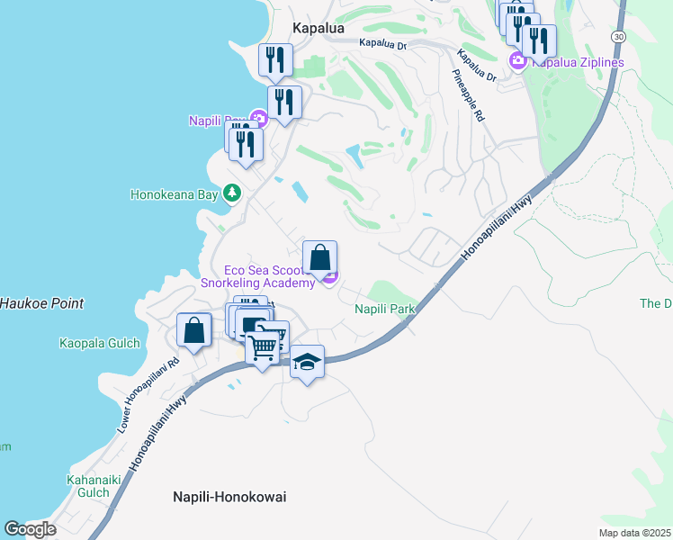 map of restaurants, bars, coffee shops, grocery stores, and more near 101 Pualu Place in Lahaina