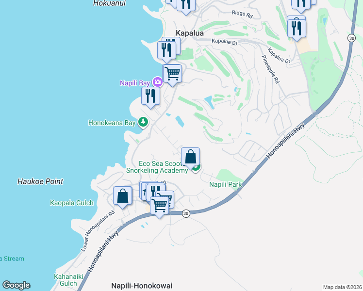 map of restaurants, bars, coffee shops, grocery stores, and more near 101 Hui Road F in Lahaina