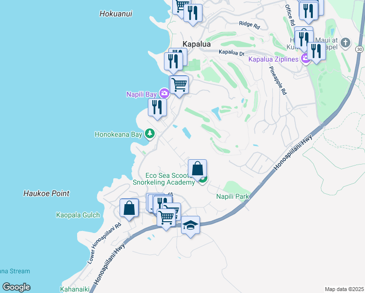 map of restaurants, bars, coffee shops, grocery stores, and more near 65 Wena Place in Lahaina