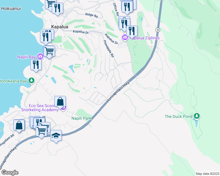 map of restaurants, bars, coffee shops, grocery stores, and more near 624 Silversword Drive in Lahaina