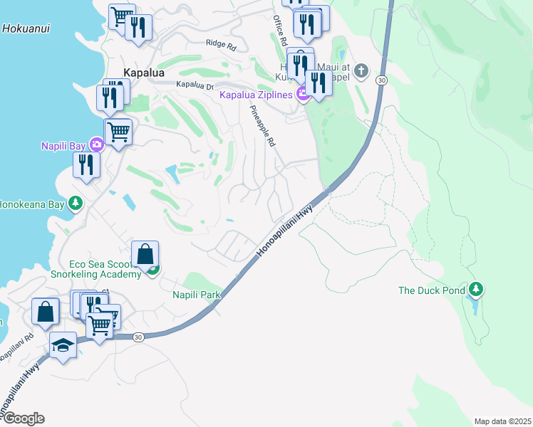 map of restaurants, bars, coffee shops, grocery stores, and more near 620 Silversword Drive in Lahaina