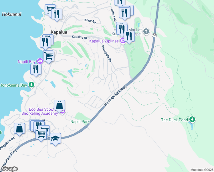 map of restaurants, bars, coffee shops, grocery stores, and more near 616 Silversword Drive in Lahaina
