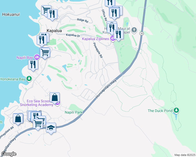 map of restaurants, bars, coffee shops, grocery stores, and more near 614 Silversword Drive in Lahaina