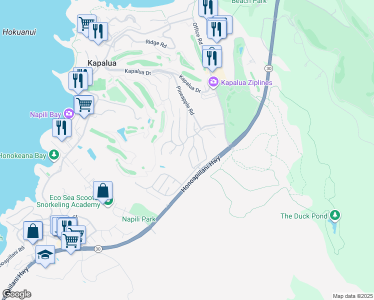 map of restaurants, bars, coffee shops, grocery stores, and more near 610 Silversword Drive in Lahaina