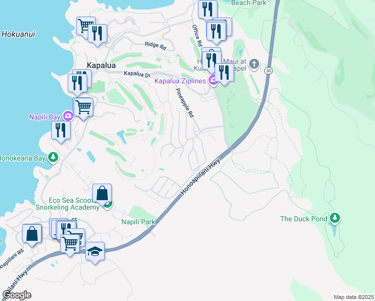 map of restaurants, bars, coffee shops, grocery stores, and more near 610 Silversword Drive in Lahaina