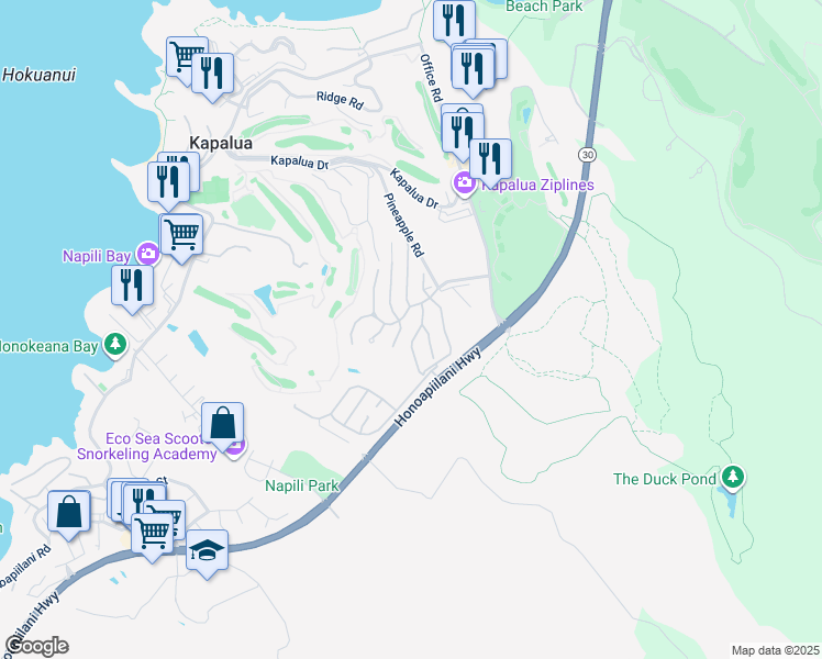 map of restaurants, bars, coffee shops, grocery stores, and more near 608 Silversword Drive in Lahaina