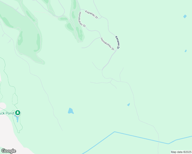 map of restaurants, bars, coffee shops, grocery stores, and more near 142 Keoawa Street in Lahaina