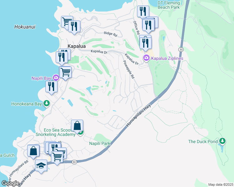 map of restaurants, bars, coffee shops, grocery stores, and more near 1200 Summer Road in Lahaina